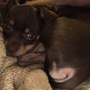 Meet your Posher, Connor